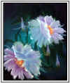 I'm not sure if I can part with this one.  It is called "Night Blooms"