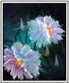 black flower w frame.jpg (67894 bytes)