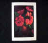 The verse in this card is: Wishing you a dream come true...For all the bright tomorrows...Happy Birthday
